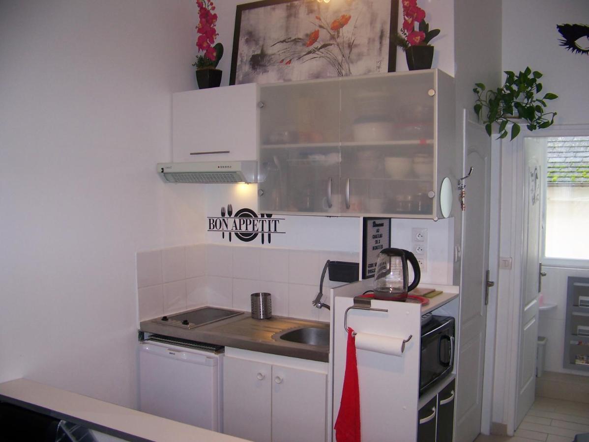 Charmant Studio Au Calme Tout Confort Dans Chateau Neo Gothique Proche Zenith Comet Orleans Parking Voiture Gratuit Wifi Haut Debit Rue Des Montees Экстерьер фото