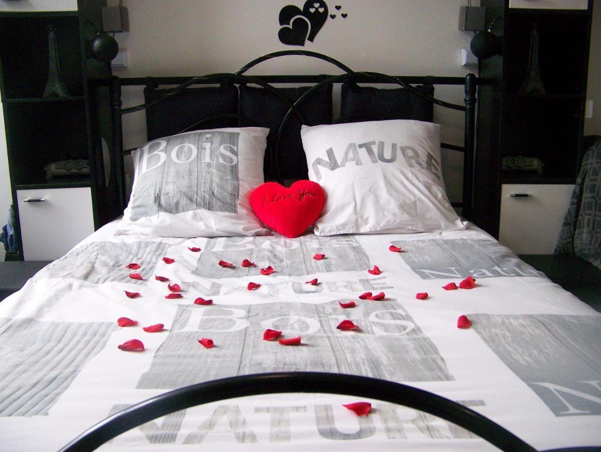 Charmant Studio Au Calme Tout Confort Dans Chateau Neo Gothique Proche Zenith Comet Orleans Parking Voiture Gratuit Wifi Haut Debit Rue Des Montees Экстерьер фото
